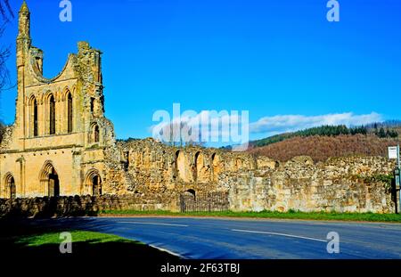 Byland Abbey, in der Nähe von Coxwold, North Yorkshire, England Stockfoto