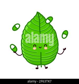 Nette lustige Kratom Blatt juggen Pillen Charakter. Vektor flache Linie Cartoon kawaii Figur Illustration Symbol. Isoliert auf weißem Hintergrund. Kratom Blatt Charakter Bundle Konzept Stock Vektor