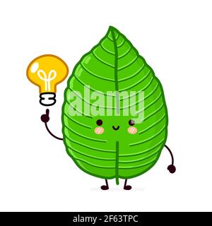 Nette lustige glücklich Kratom Blatt Würfel Charakter. Vektor flache Linie Cartoon kawaii Figur Illustration Symbol. Isoliert auf weißem Hintergrund. Kratom Blatt Charakter Konzept Stock Vektor