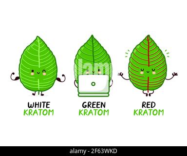 Rote, grüne, weiße Kratom-Stämme. Nette lustige Kratom Blatt Charakter Set Sammlung. Vektor flache Linie Cartoon kawaii Figur Illustration Symbol. Isoliert auf weißem Hintergrund Stock Vektor