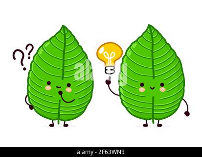 Nette lustige glücklich Kratom Blatt Würfel Charakter mit Fragezeichen und Idee Glühbirne. Vektor flache Linie Cartoon kawaii Figur Illustration Symbol. Isoliert auf weißem Hintergrund. Kratom Tee Konzept Stock Vektor