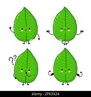 Nette lustige Kratom Blatt Charakter Set Sammlung. Vektor flache Linie Cartoon kawaii Figur Illustration Symbol. Isoliert auf weißem Hintergrund. Kratom Blatt Charakter Bundle Konzept Stock Vektor