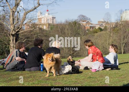 Pudelhund begleitet eine Gruppe von Menschen bei sonnigem Wetter im London greenwich Park, mit Lockdown heute am 29th. märz 2021 Stockfoto