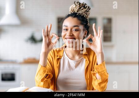 Zufriedene schöne afroamerikanische Frau mit Dreadlocks, Manager, Freiberufler oder Tutor führt eine Online-Briefing per Videokonferenz mit Kollegen oder Studenten, Handgesten, zeigt OK Geste Stockfoto