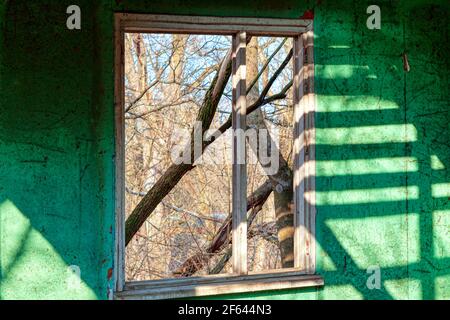Innen Alter grüne Wand mit gebrochenem Fenster, Teil des verlassenen Hauses. Abstrakter Schatten auf der alten Wand Stockfoto