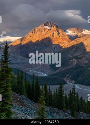 Atemberaubende Aussicht auf einen gletschergespeisten See. Einfache 3,8 Meilen Rundwanderung. Eine der besten Aussichten in den Kanadischen Rockies. Stockfoto