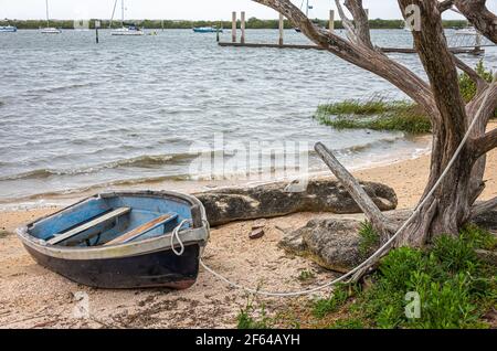 Altes Ruderboot an einem verwitterten Baum entlang der Küste von Salt Run auf Anastasia Island in St. Augustine, Florida gebunden. (USA) Stockfoto