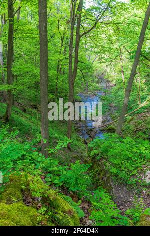 Louth Wasserfälle und Wanderweg Lincoln Ontario Kanada im Sommer Stockfoto