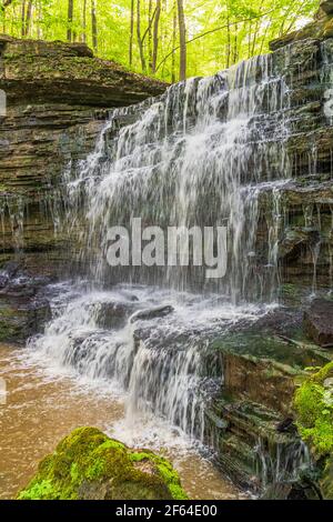 Louth Wasserfälle und Wanderweg Lincoln Ontario Kanada im Sommer Stockfoto