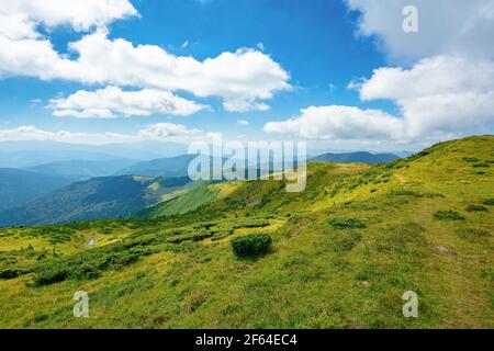 Karpaten Biosphärenreservat Bergrücken. Grüne Wiesen Sommerlandschaft des Chornohirskyi Massivs in den östlichen karpaten, ukraine. Sonnige sce Stockfoto