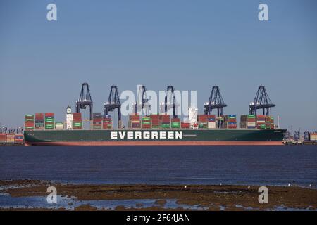Das Containerschiff Ever Glory dockte im Hafen von Felixstowe, Suffolk, Großbritannien an. Stockfoto