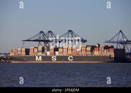 Das Containerschiff MSC Katie dockte im Hafen von Felixstowe, Suffolk, Großbritannien an. Stockfoto