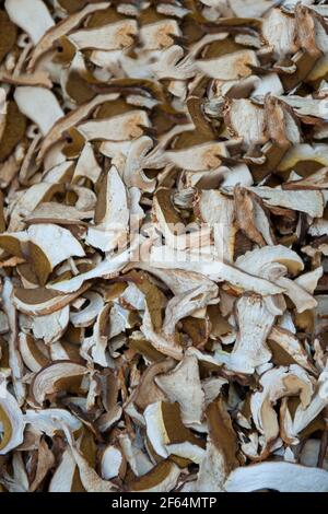 Draufsicht auf getrocknete Pilze Hintergrund. Studioaufnahmen Stockfoto