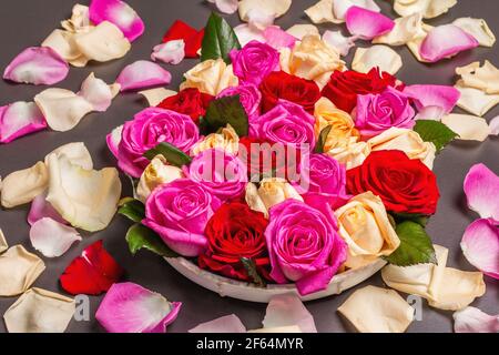 Komposition aus frischen bunten Rosen auf Keramikständer. Bunte Blumen, festliches oder romantisches Konzept. Beauty- oder Spa-Trend, sanfte Farben Stockfoto