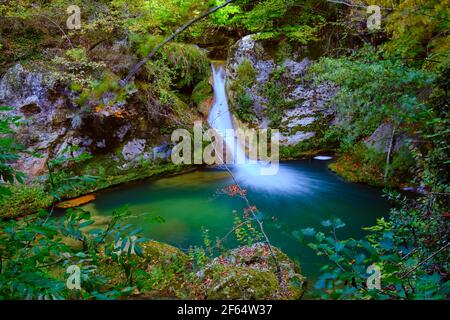 Wasserfall und Buchenwald. Stockfoto