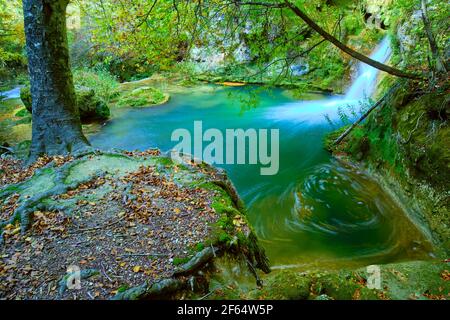 Wasserfall und Buchenwald. Quelle des Flusses Urederra. Stockfoto