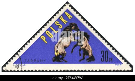 Eine dreieckige Briefmarke. Tarpan (Equus ferus ferus) Wildpferd aus der Reihe: Pferde, Polen, 1963, Stockfoto