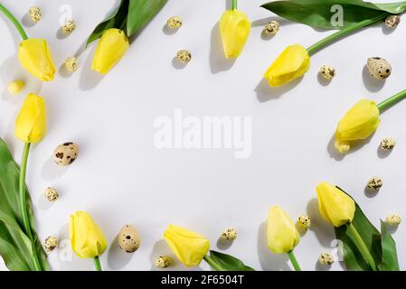 Bunte ostern Wachteln Eier und Tulpen auf weißem Hintergrund. Flach liegend. Frühlingskomposition. Frohe ostern Grußkarte. Stockfoto