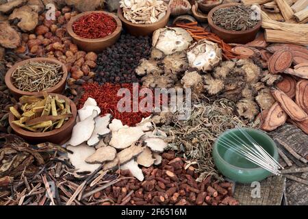 Chinesische Akupunkturnadeln, die in traditionellen Behandlungen mit getrockneten Kräutern und Gewürzen in der Kräutermedizin verwendet werden. Alternative Gesundheitsversorgung Konzept. Stockfoto