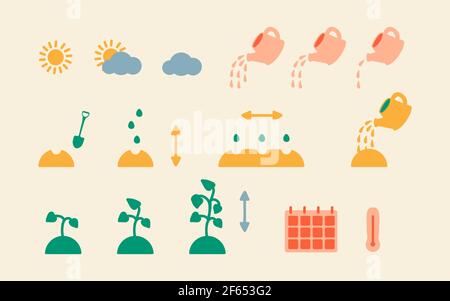 Schritt-für-Schritt-Anleitung zum Pflanzen von Pflanzen und Blumensamen. Vektor-Symbole der Pflanzung und Samenwachstum Prozess, Bewässerungsrate, Temperatur und planti Stock Vektor