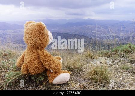 Teddybär sitzt auf dem Stein und sieht aus In die Ferne an den Bergen Stockfoto