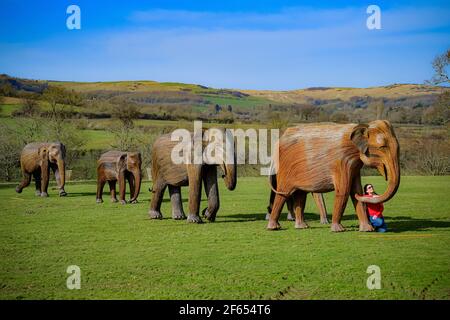 Amanda Houghton-Brown, die in Winchcombe wohnt, bewundert eine Herde lebensgroßer Elefantenfiguren, die von der internationalen Naturschutzorganisation Elephant Family geschaffen wurden und im Sudeley Castle in Winchcombe, Gloucestershire, ausgestellt werden, während sie ihren morgendlichen Hundespaziergang unternimmt. Bilddatum: Dienstag, 30. März 2021. Stockfoto