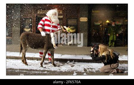 Vater Weihnachten und sein Seesel Dino posieren für Fotos vor einem schneebedeckten Harrods, bevor sie die Gäste am 9. August 2005 in London, England, im dritten Stock des Knightsbridge Stores auf eine Tour durch die Weihnachtswelt nehmen. Über 15.000ft qm Fläche sind Weihnachten im gesamten Geschäft gewidmet. Mit einer künstlichen Schneemaschine, die gegen die Sommerwärme kämpft, kommen Pater Christmas und sein Seesel Dino vor einem schneebedeckten Eingang nach Harrods zum Start von Christmas World im Knightsbridge Store in London an. Bild David Sandison 9/8/2005 Stockfoto