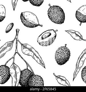 Handgezeichnetes nahtloses Muster mit Litschi-Früchten, Ästen und Blättern. Vektorgrafik im botanischen Skizzenstil Stock Vektor