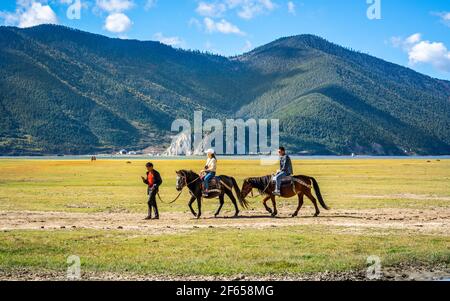 Shangrila China , 10 Oktober 2020 : zwei chinesische Touristen reiten Pferde in Napa Hai See Grasland Naturschutzgebiet am sonnigen Tag in Shangri-La Yunnan CH Stockfoto