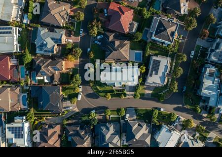 Top down Luftaufnahme eines gehobenen Viertels mit Straßen, Häusern, Autos und Gärten im Nordwesten von Sydney, Australien. Stockfoto