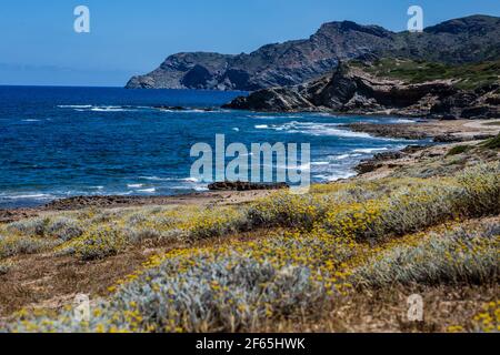 Illustration während der Rallye-Weltmeisterschaft 2017, Rallye Italia Sardegna vom 8. Bis 11. Juni in Alghero und Cagliari, Italien - Foto Thomas Fenetre / DPPI Stockfoto