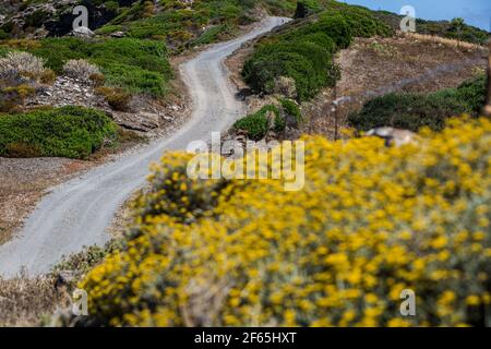 Illustration während der Rallye-Weltmeisterschaft 2017, Rallye Italia Sardegna vom 8. Bis 11. Juni in Alghero und Cagliari, Italien - Foto Thomas Fenetre / DPPI Stockfoto