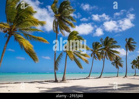 Dominikanische Republik, Punta Cana, Punta Cana Strand Stockfoto