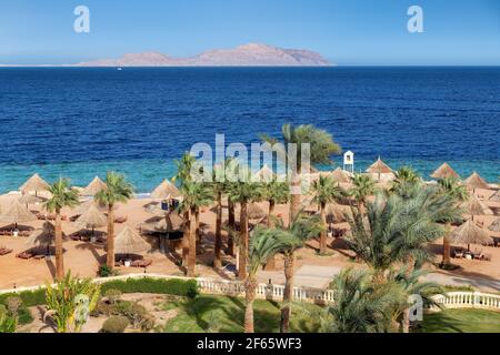 Sonniger Strand in tropischem Resort mit Palmen und Sonnenschirmen Im Roten Meer Stockfoto