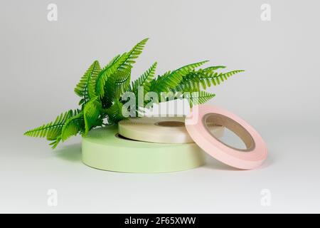 Makro-Zusammensetzung von drei Spulen von Satinbändern in rosa, grün, beige für Tags oder Nähen mit Zweig aus Farn oder Gras, isoliert auf weißem Hintergrund Stockfoto