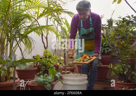 Eine Frau, die aus Küchenresten Kompost macht Stockfoto