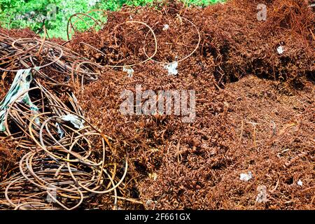 Recycling von Stahlschrott. Abfall nach der Bearbeitung von Metallteilen auf einer cnc-Drehmaschine. Nahaufnahme verdrillte Spiralstahlspäne. Kleine Rauheitsschärfe, Stockfoto