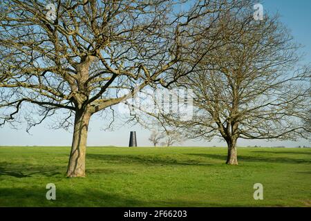 Black Mill, ein lokales Wahrzeichen, das von grünen Bäumen unter blauem Himmel im Westwood im frühen Frühjahr in der Nähe von Beverley, Yorkshire, Großbritannien, flankiert wird. Stockfoto