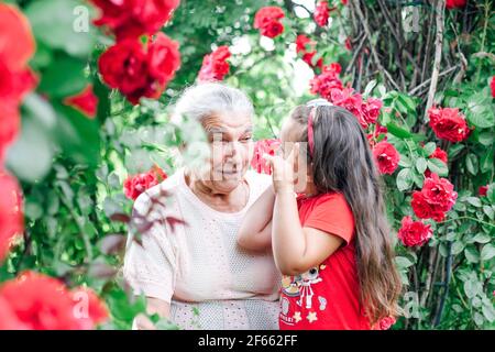 Eine grauhaarige ältere Großmutter spielt mit ihrer fünfjährigen Enkelin Der Garten unter dem Bogen der Rosenblüten im Sommer Urlaub Stockfoto