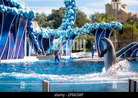 Orlando, Florida. Dezember 22, 2020. Delfinspringen in Seaworld (17) Stockfoto