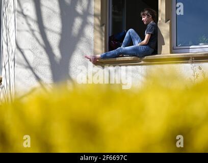 30. März 2021, Hessen, Frankfurt/Main: Kiki genießt das schöne Frühlingswetter am Fenster eines Mehrbettzimmer im Stadtteil Bockenheim. Foto: Arne Dedert/dpa Stockfoto