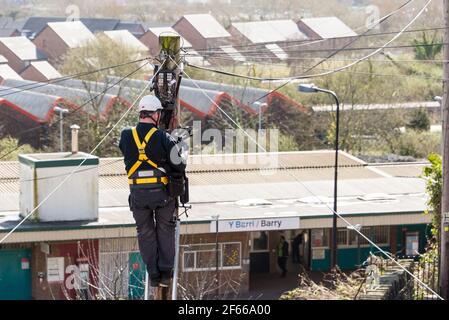 Ein Telefoningenieur, der auf einer Leiter steht, die oben an einem Telegrafenmast arbeitet. Es ist ein sonniger Tag und hinter ihm treten Dächer in die Ferne zurück. Stockfoto