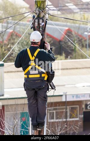 Ein Telefoningenieur, der auf einer Leiter steht, die oben an einem Telegrafenmast arbeitet. Es ist ein sonniger Tag und hinter ihm treten Dächer in die Ferne zurück. Stockfoto