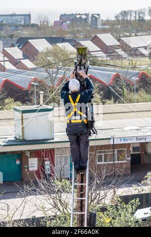 Ein Telefoningenieur, der auf einer Leiter steht, die oben an einem Telegrafenmast arbeitet. Es ist ein sonniger Tag und hinter ihm treten Dächer in die Ferne zurück. Stockfoto