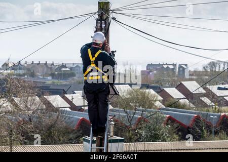 Ein Telefoningenieur, der auf einer Leiter steht, die oben an einem Telegrafenmast arbeitet. Es ist ein sonniger Tag und hinter ihm treten Dächer in die Ferne zurück. Stockfoto