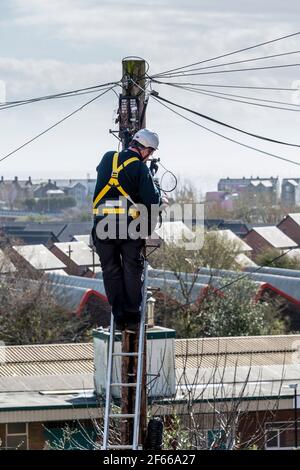 Ein Telefoningenieur, der auf einer Leiter steht, die oben an einem Telegrafenmast arbeitet. Es ist ein sonniger Tag und hinter ihm treten Dächer in die Ferne zurück. Stockfoto