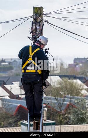 Ein Telefoningenieur, der auf einer Leiter steht, die oben an einem Telegrafenmast arbeitet. Es ist ein sonniger Tag und hinter ihm treten Dächer in die Ferne zurück. Stockfoto