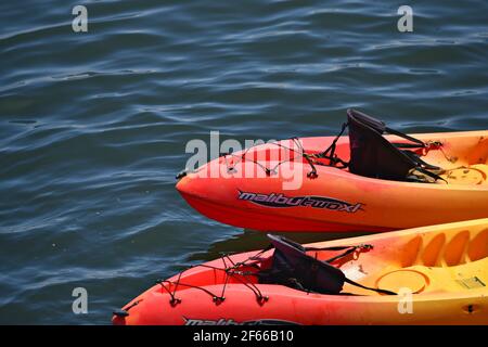 Rote und gelbe Kajakboote auf den Gewässern des Hafens von Santa Cruz in Kalifornien, USA. Stockfoto