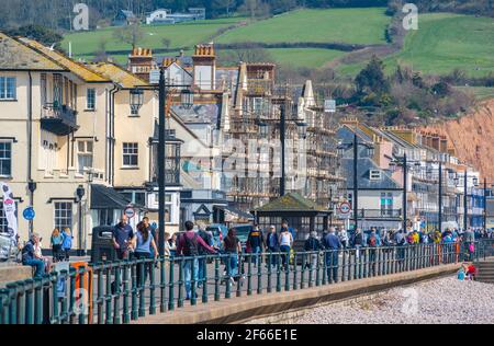 Sidmouth, Devon, Großbritannien. März 2021, 30th. Wetter in Großbritannien: Die Menschen strömen in den Badeort Sidmouth, Devon, um die herrliche Sonne zu genießen, während die Südküste vor dem Osterfeiertagswochenende in einer Mini-März-Hitzewelle sonnt. Man sah die Leute an diesem Nachmittag entlang der hübschen Esplanade spazieren gehen und die heiße Sonne im hübschen Regency Resort genießen. Kredit: Celia McMahon/Alamy Live Nachrichten Stockfoto