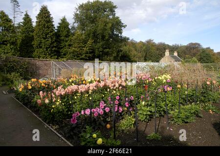 Culzean Castle, in der Nähe von Ayr, Ayrshire, Schottland, Großbritannien Stockfoto